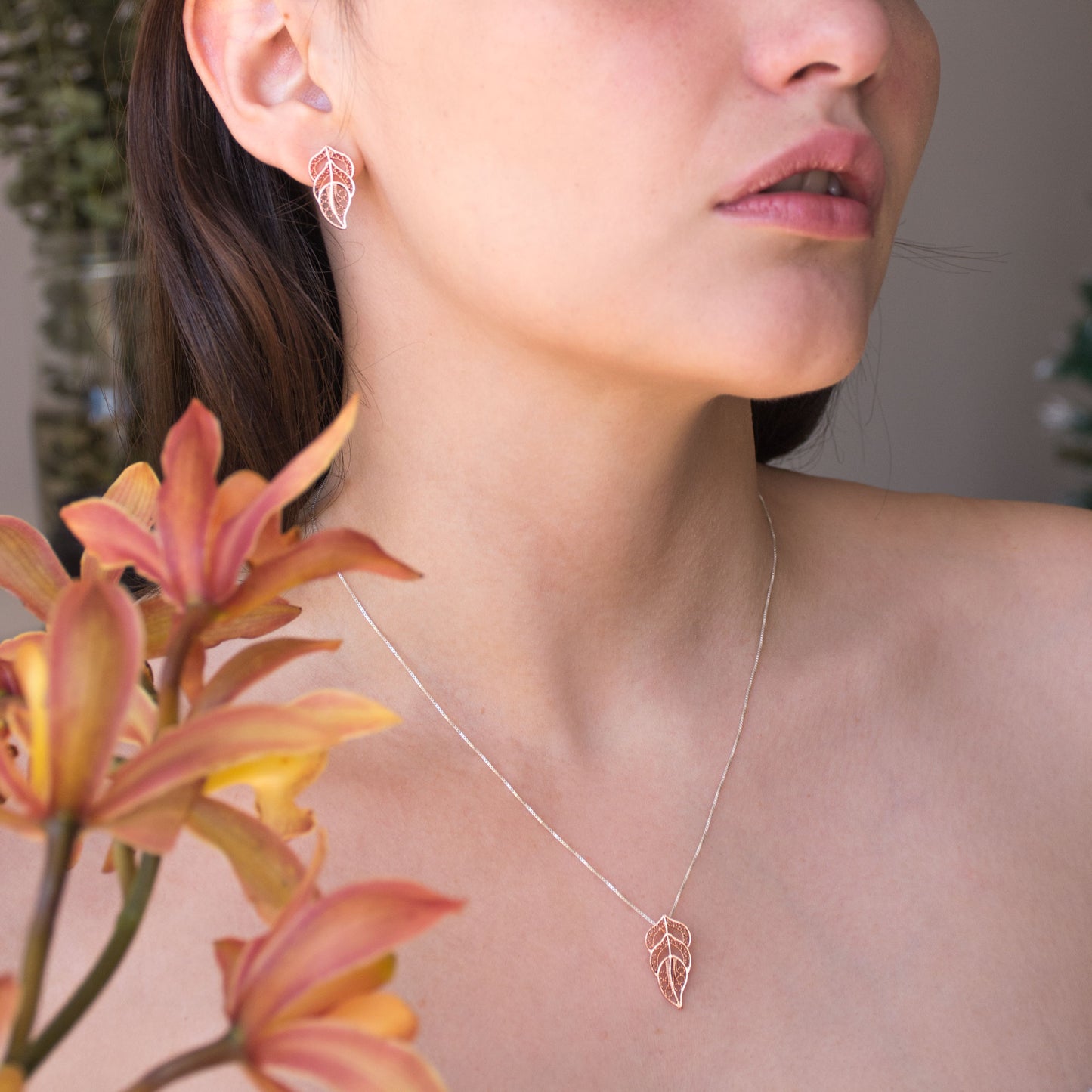 Aretes Topo Apate en Filigrana